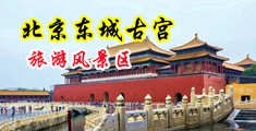 啊啊啊,使劲插黄色视频中国北京-东城古宫旅游风景区